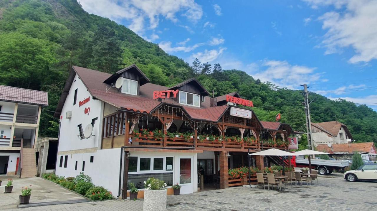 Pensiunea Bety Tutulesti Exterior foto