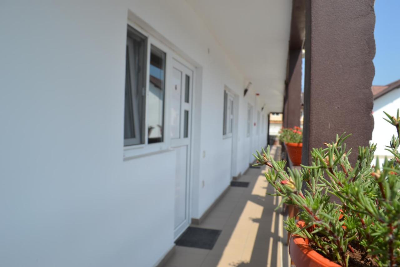 Pensiunea Bety Tutulesti Exterior foto